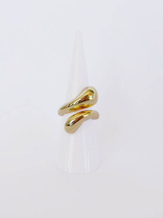 Anillo Dúo